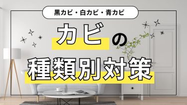 カビの種類別対策！黒カビ、白カビ、青カビの違いと掃除法を一挙公開